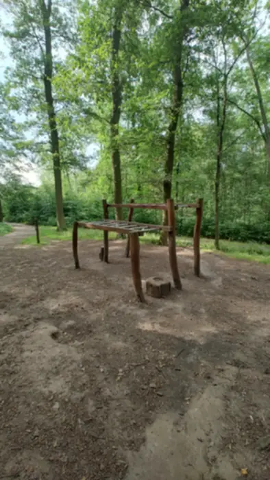 Outdoor workout in Kamýk forest